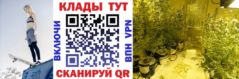 Все наркотики Пошехонье Канабис  Кокаин  NBOMe  ГАШ  Амфетамин 