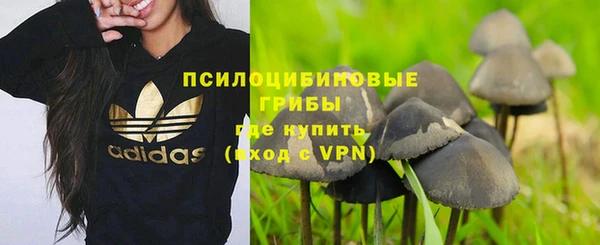 ешки Аркадак