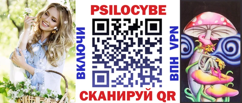 KRAKEN ТОР  Пошехонье  Псилоцибиновые грибы Psilocybine cubensis 